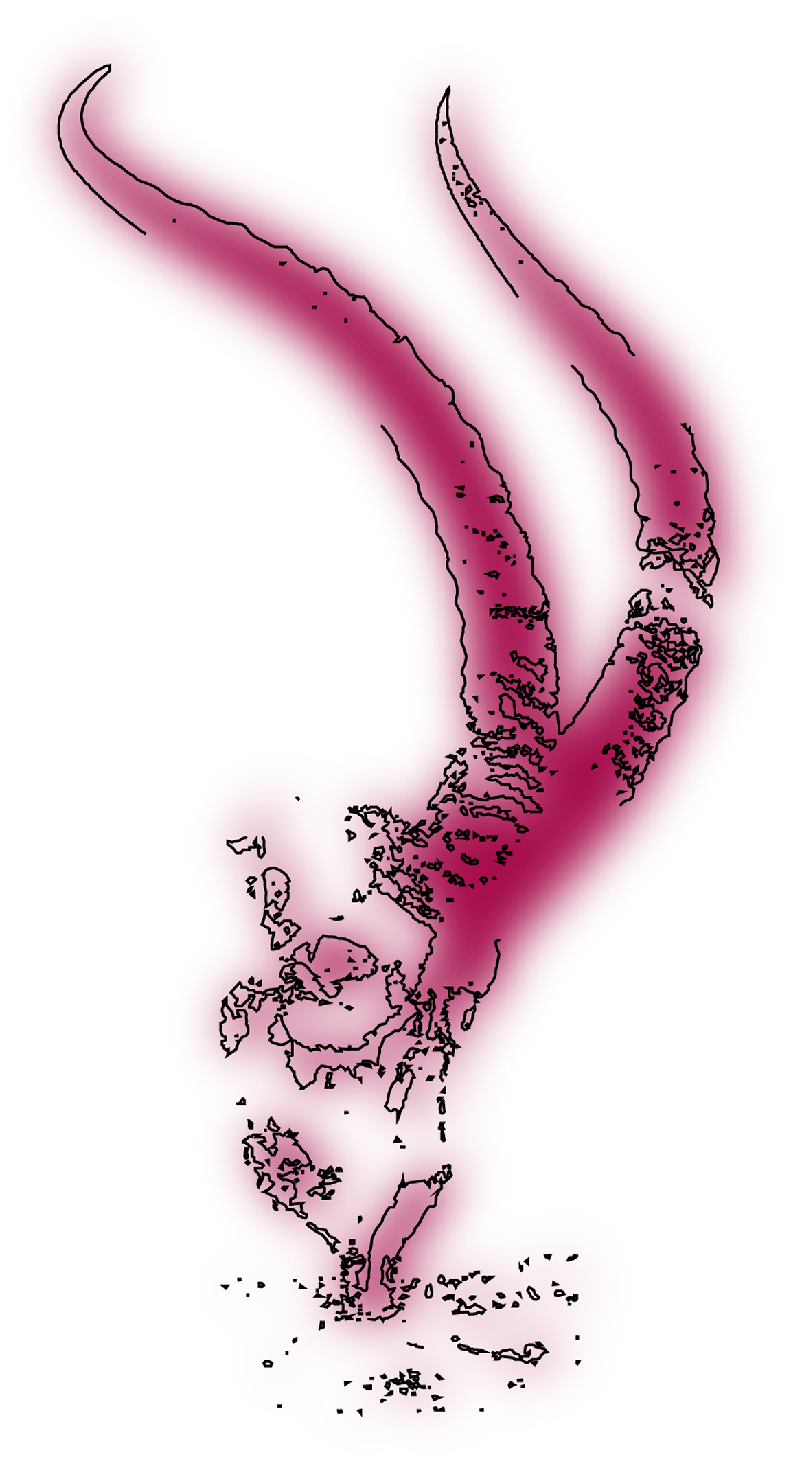 An illustration of bones.
